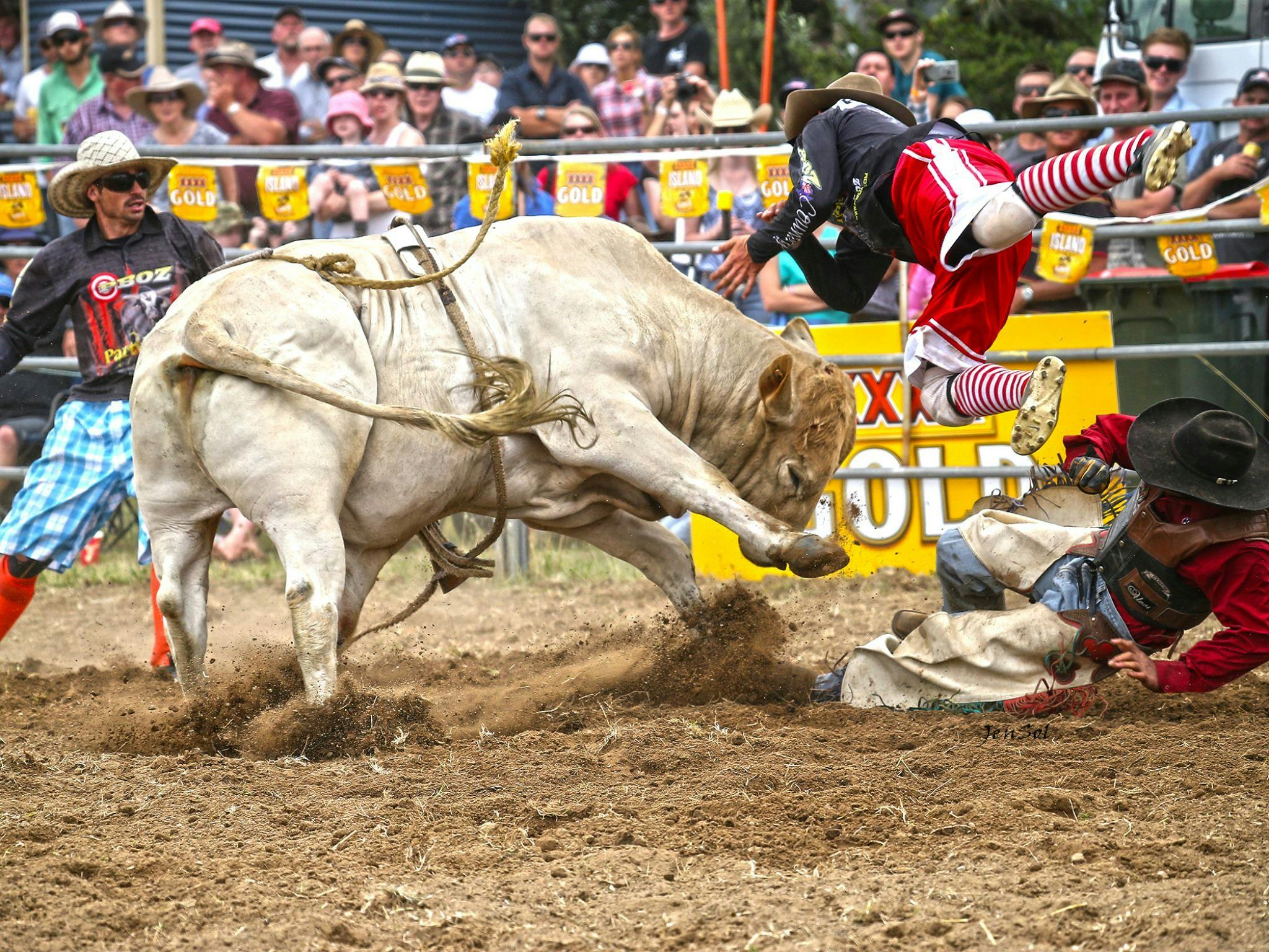 Jindabyne Rodeo