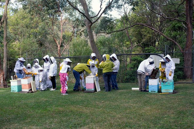 Illawarra Beekeepers Open Day