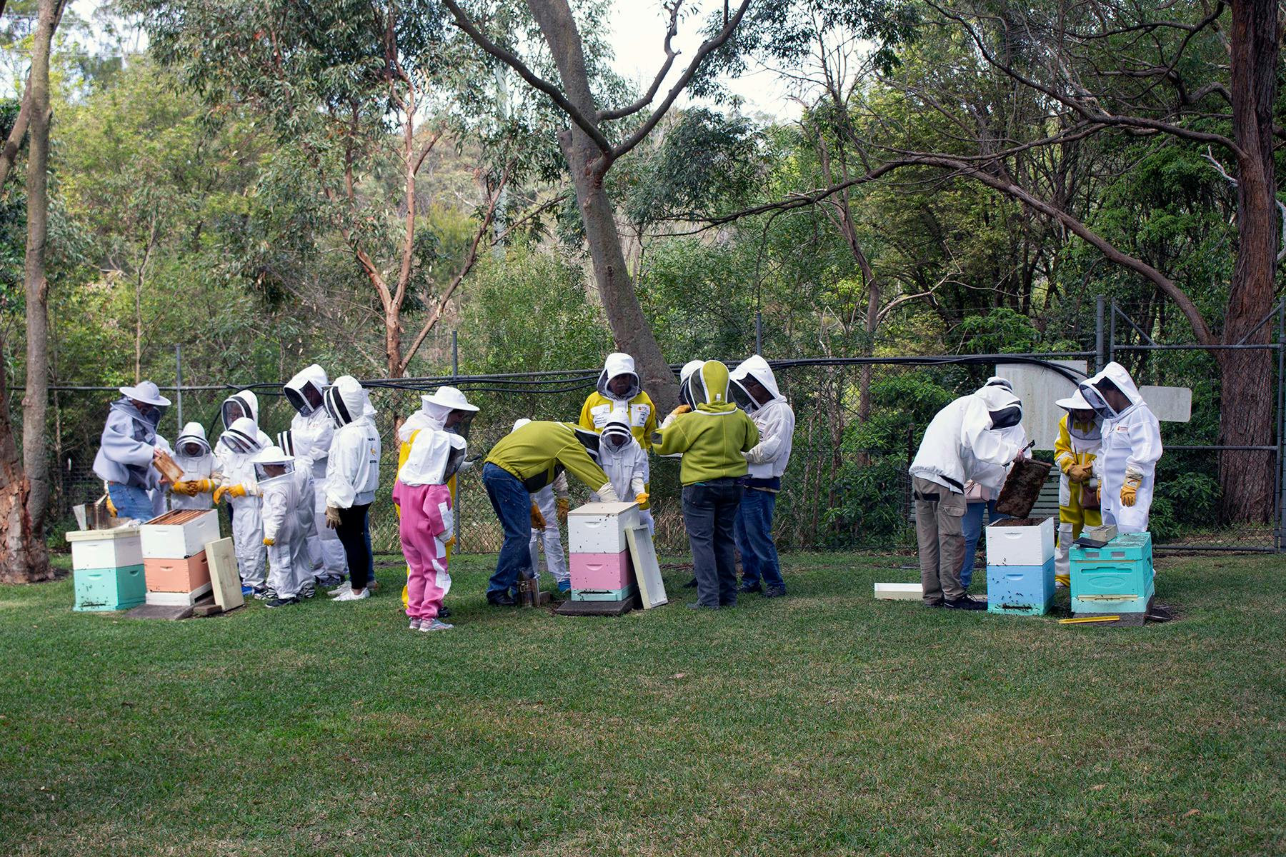 Visitors Inspecting the Hives