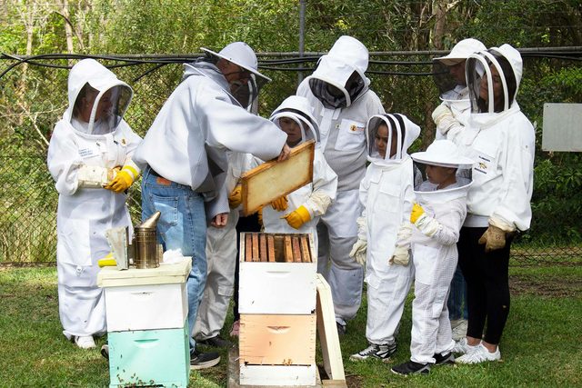 Illawarra Beekeepers Open Day
