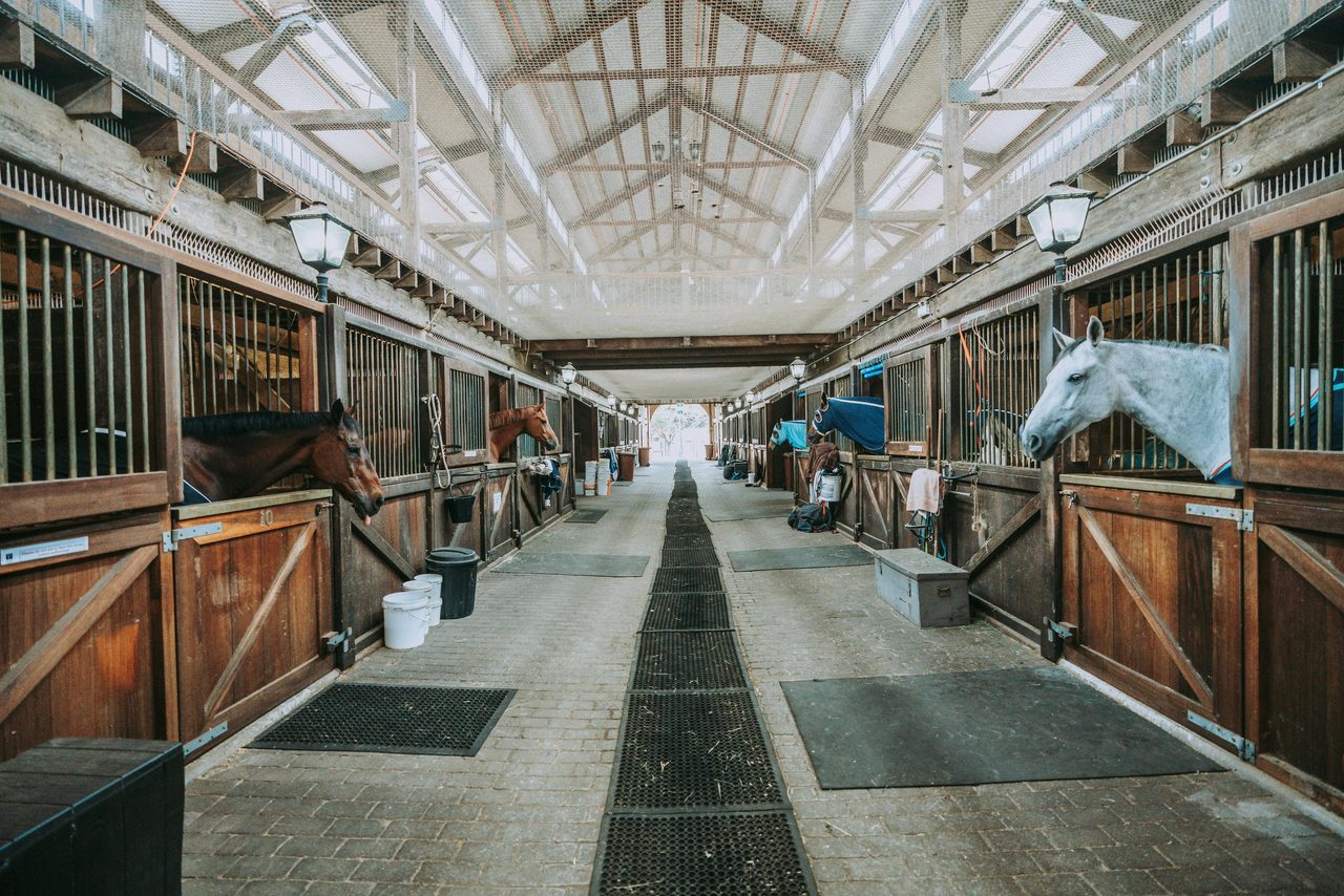 Centennial Parklands Equestrian Centre