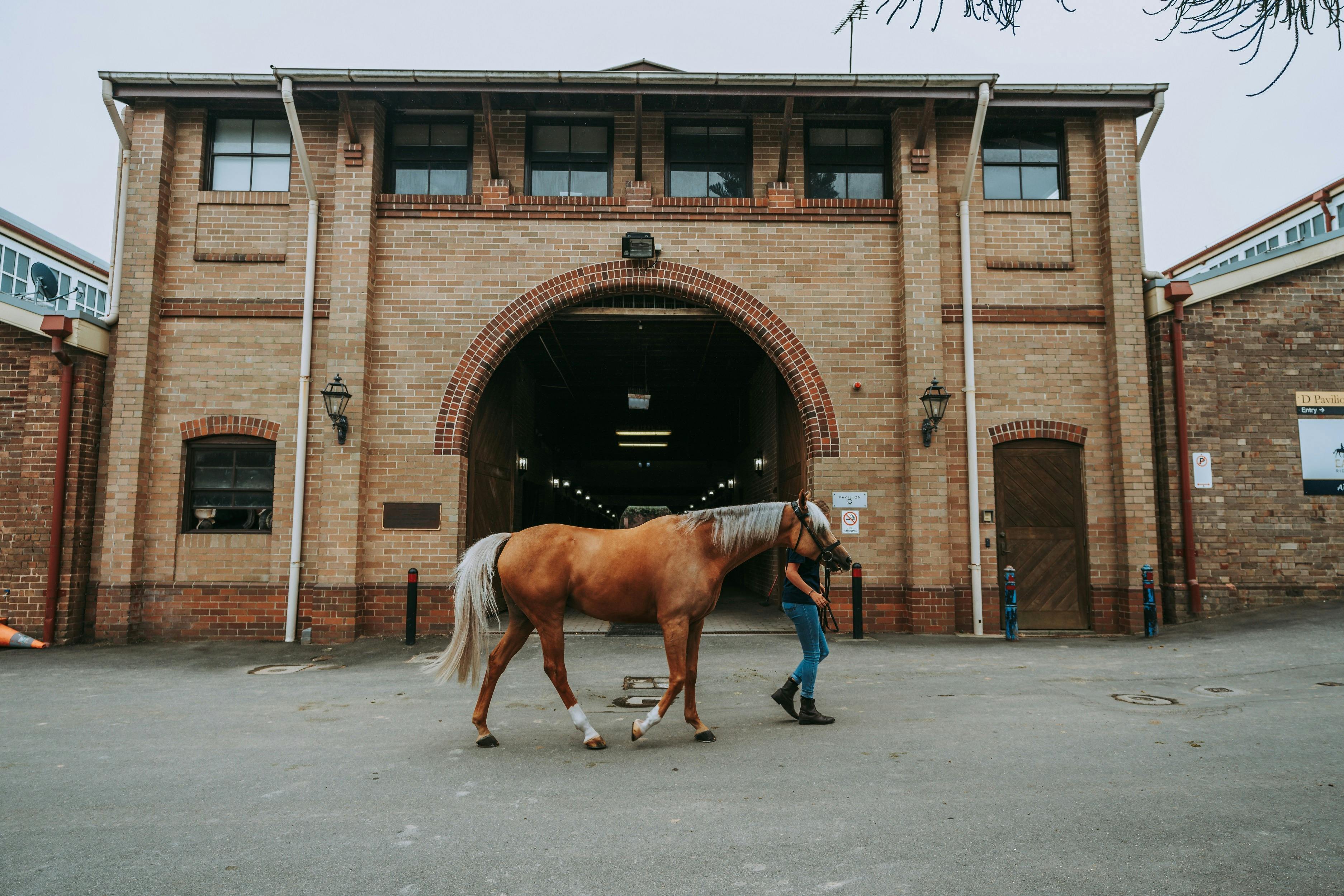 Centennial Parklands Equestrian Centre