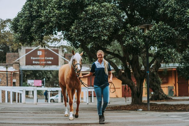 Centennial Parklands Equestrian Centre