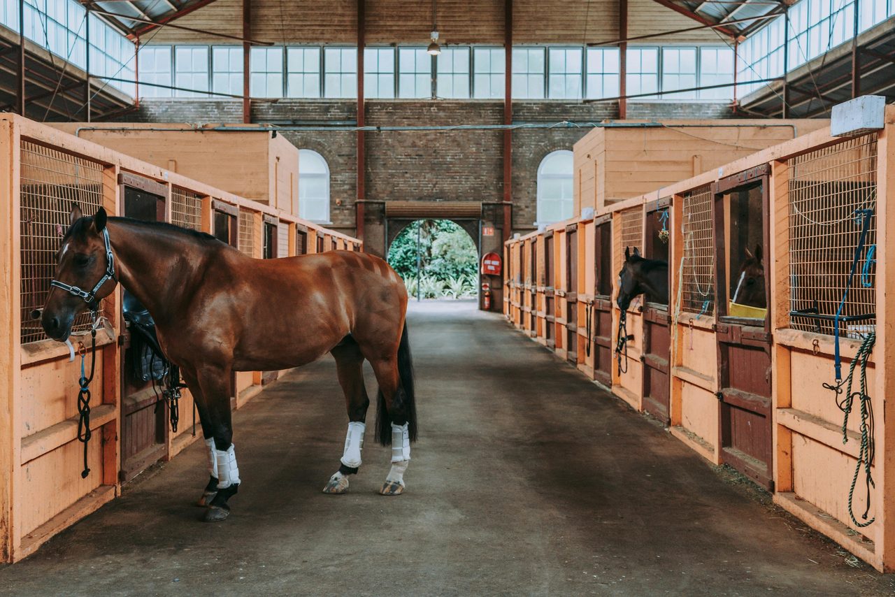 Centennial Parklands Equestrian Centre
