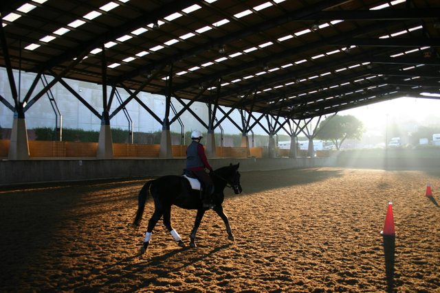 Centennial Parklands Equestrian Centre
