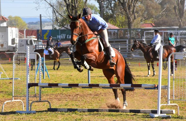 Glen Innes Show