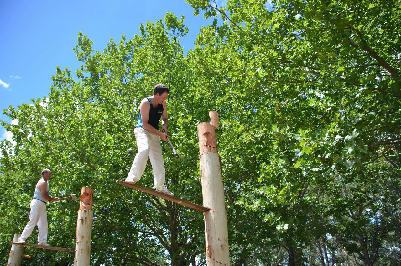 Woodchopping