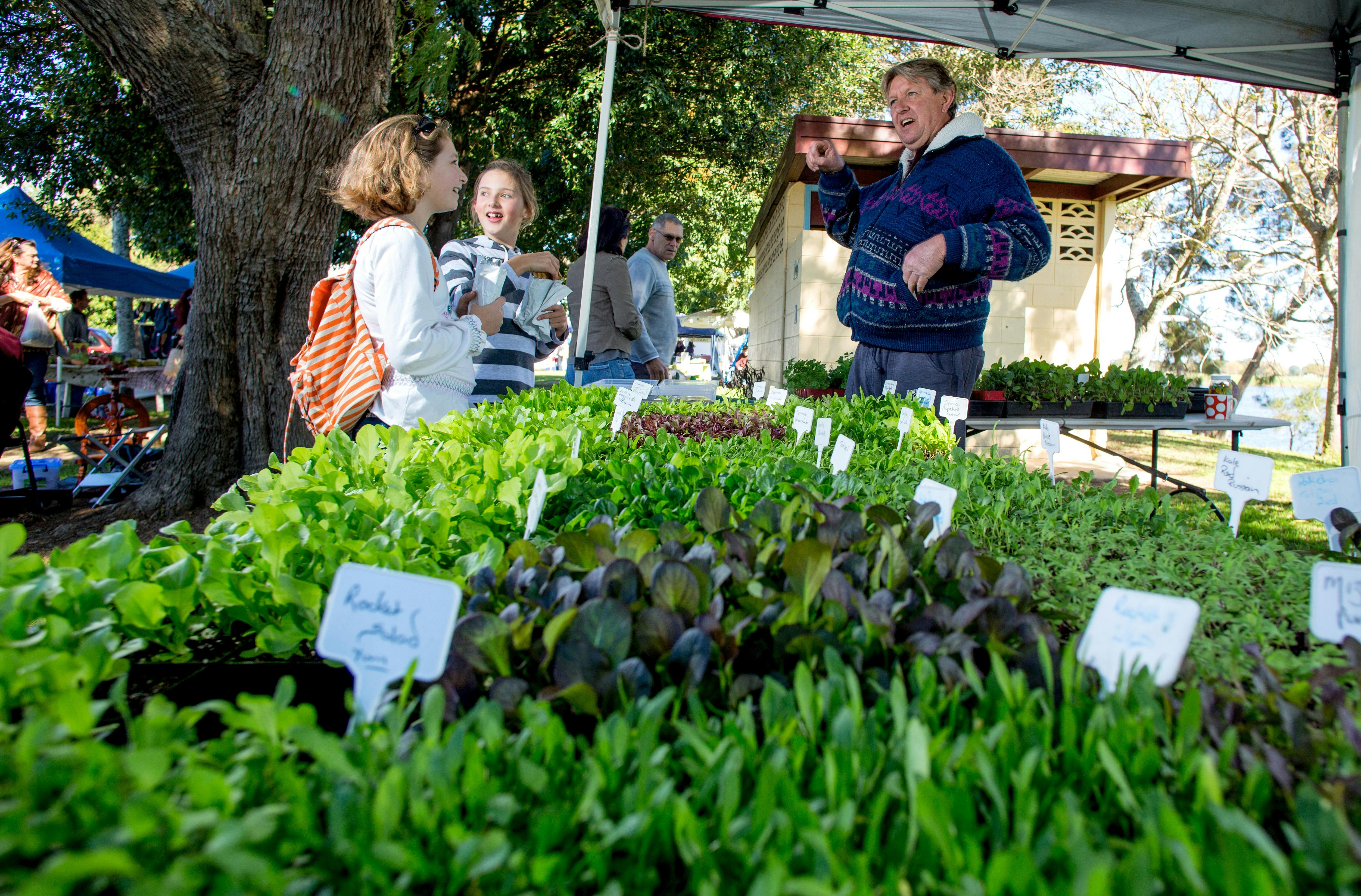Locally grown plants and seedlings