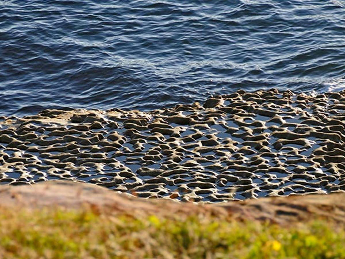 Rock platform at the water's edge. Photo: Kevin McGrath/OEH.
