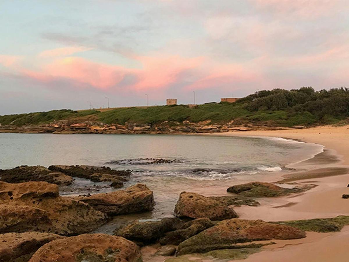 Congwong Beach at sunrise, with bushland and historic tower in the background. Photo: Stacy