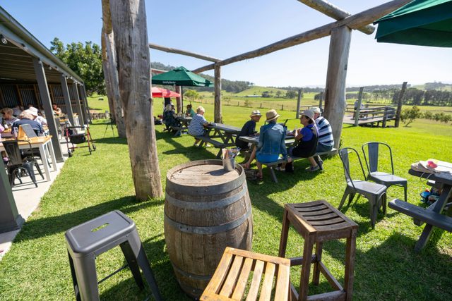 Live Music Sundays at Mountain Ridge Wines