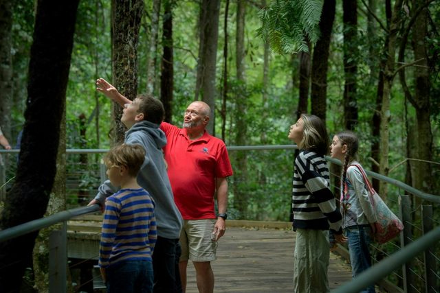 Buunyal Tour at Scenic World
