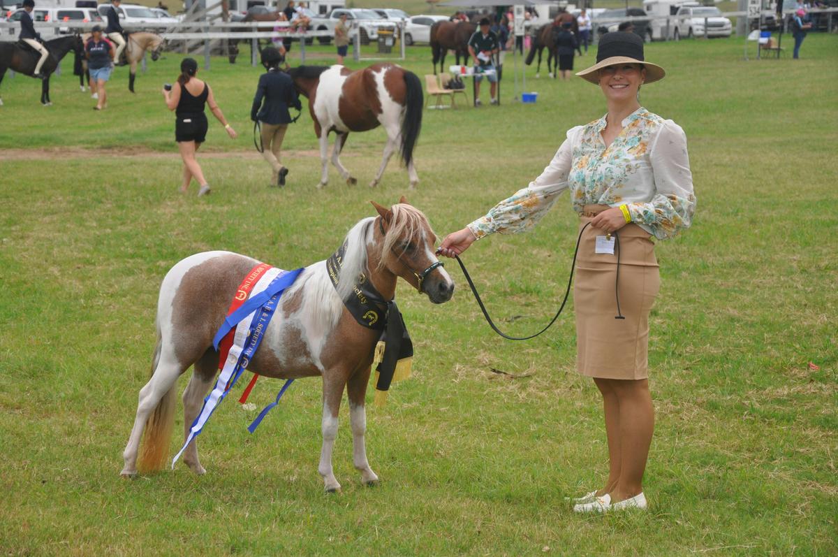 Horse Competition