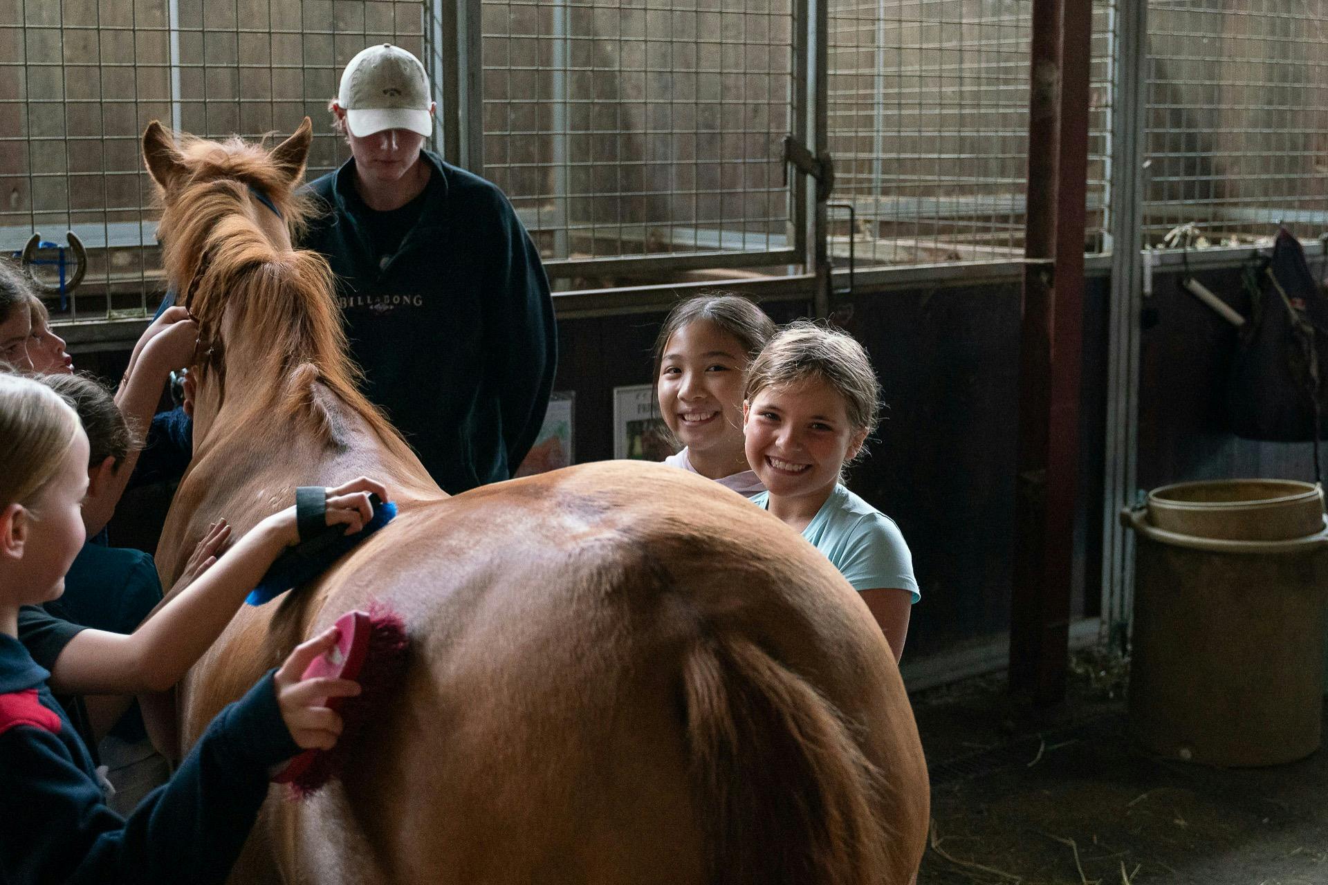 Child smiling with pony