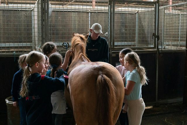 Eastside Riding Academy - Horse Riding Camps