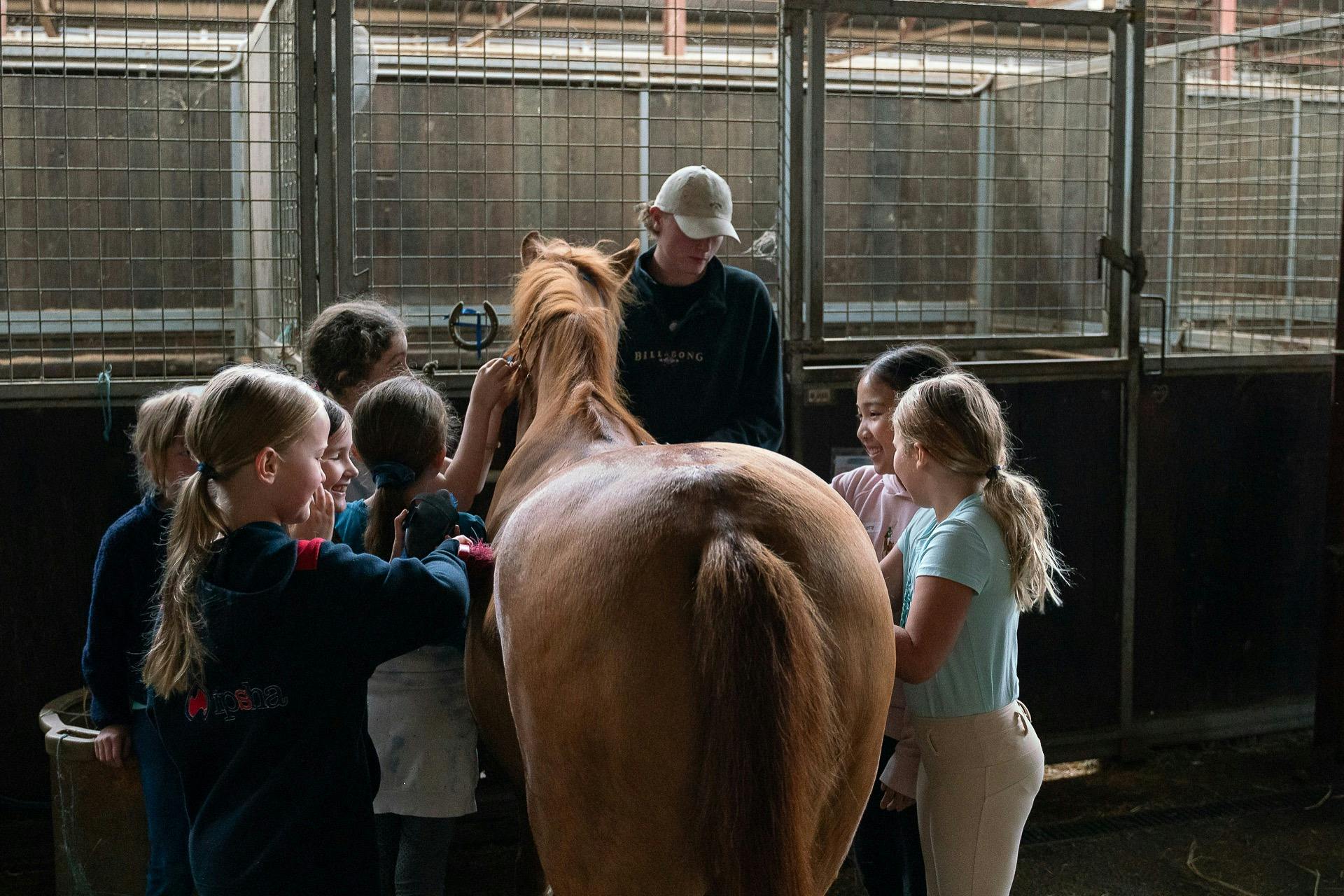 Children grooming pony
