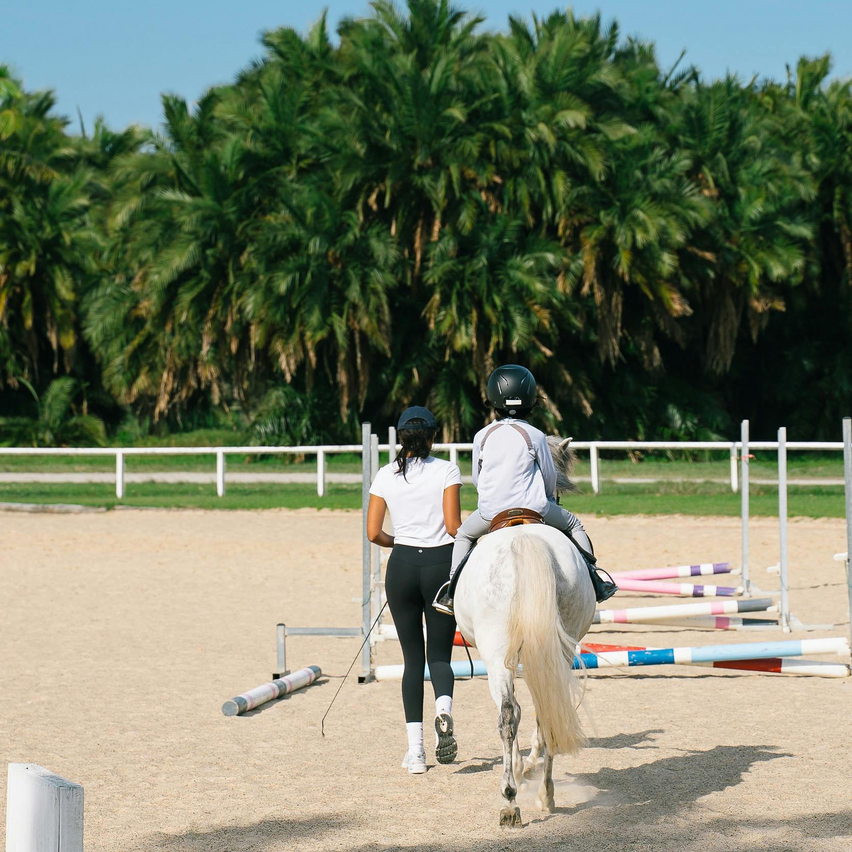 Child being led on pony over small jump