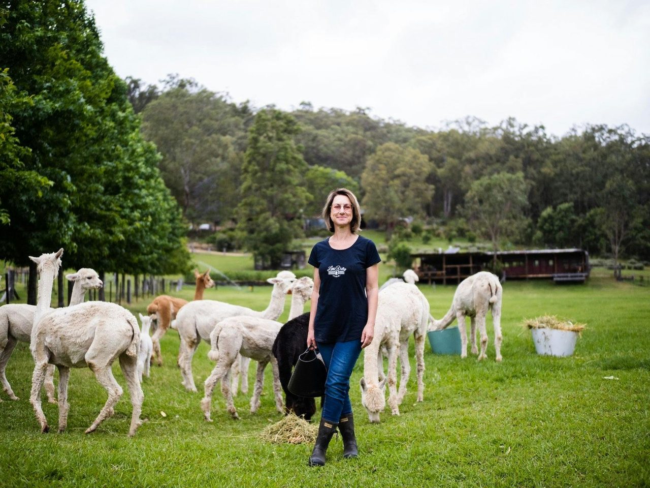 Little Valley Farm Daniela with the alpacas