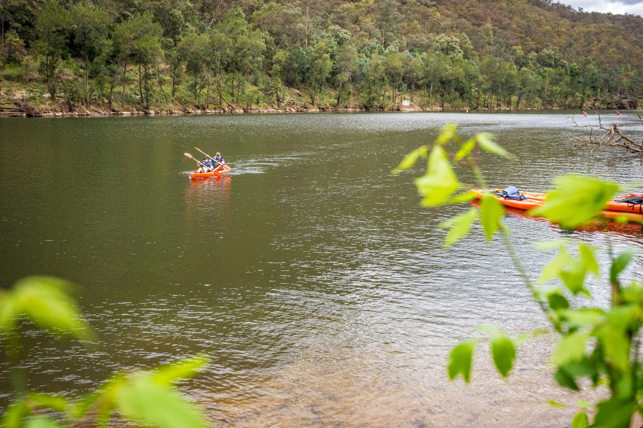 Kayak the mighty Nepean River