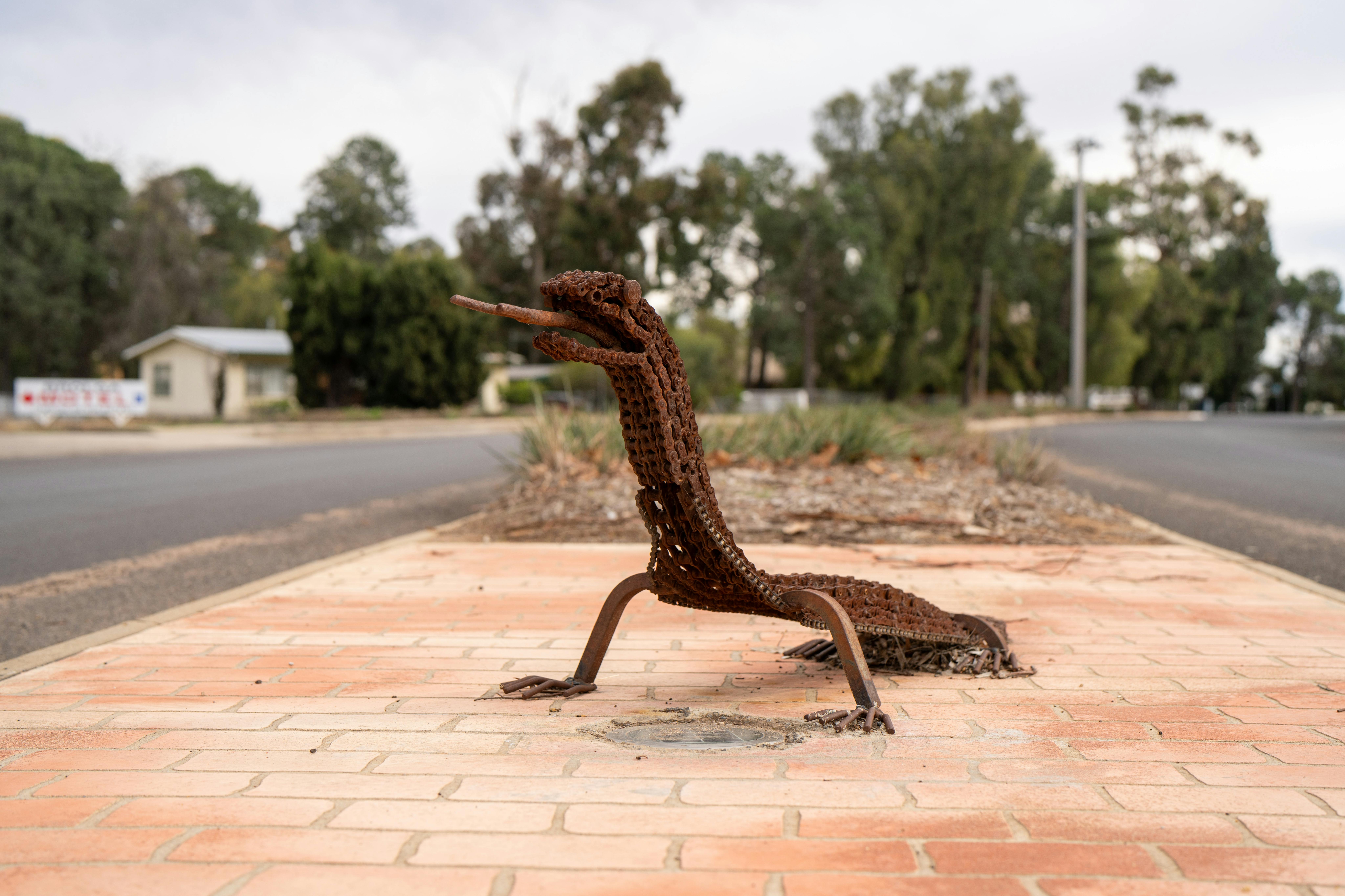 Coleambally Sculpture Trail goanna