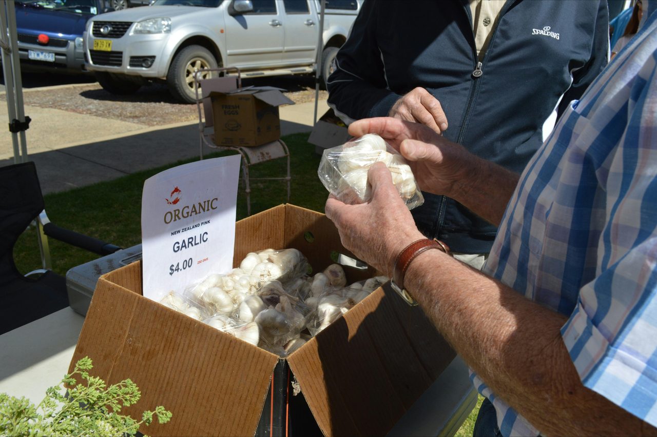 Organic Garlic