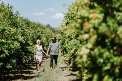 Mudgee Farm Walks
