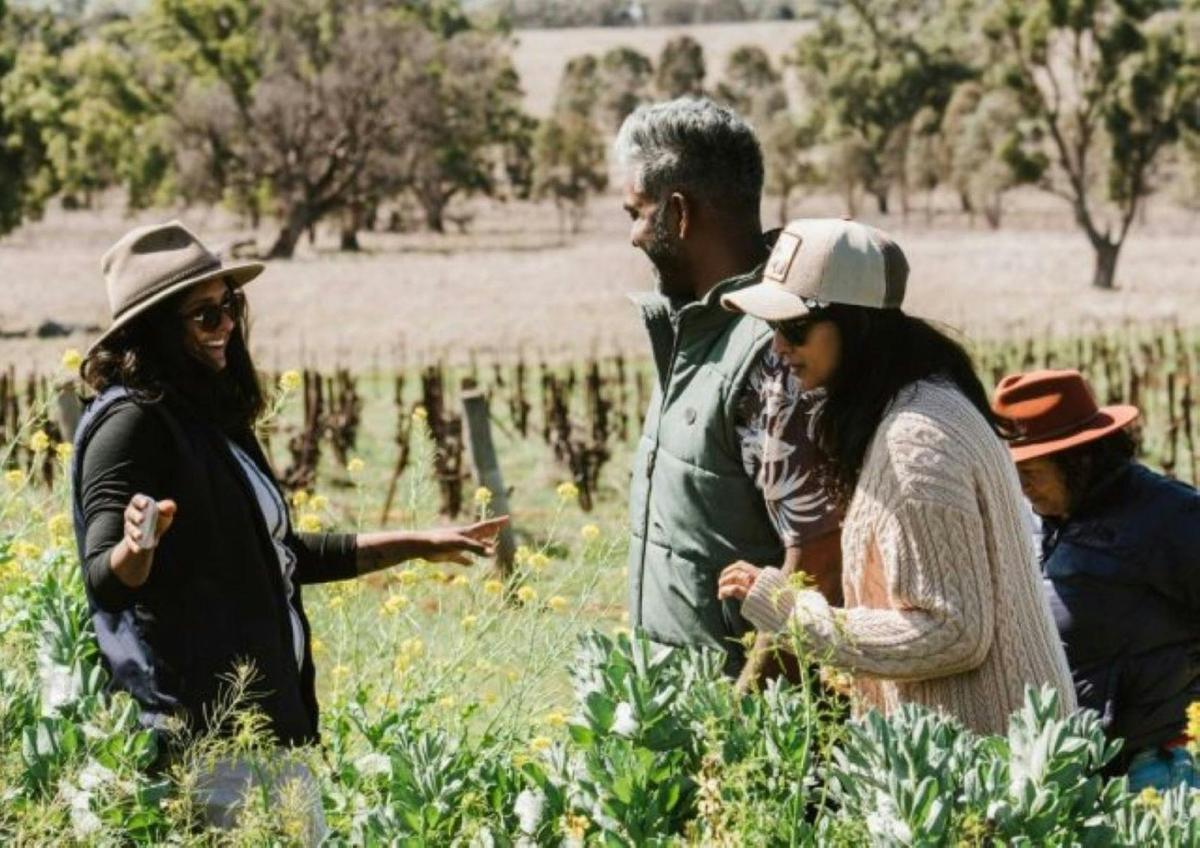Mudgee Farm Walks
