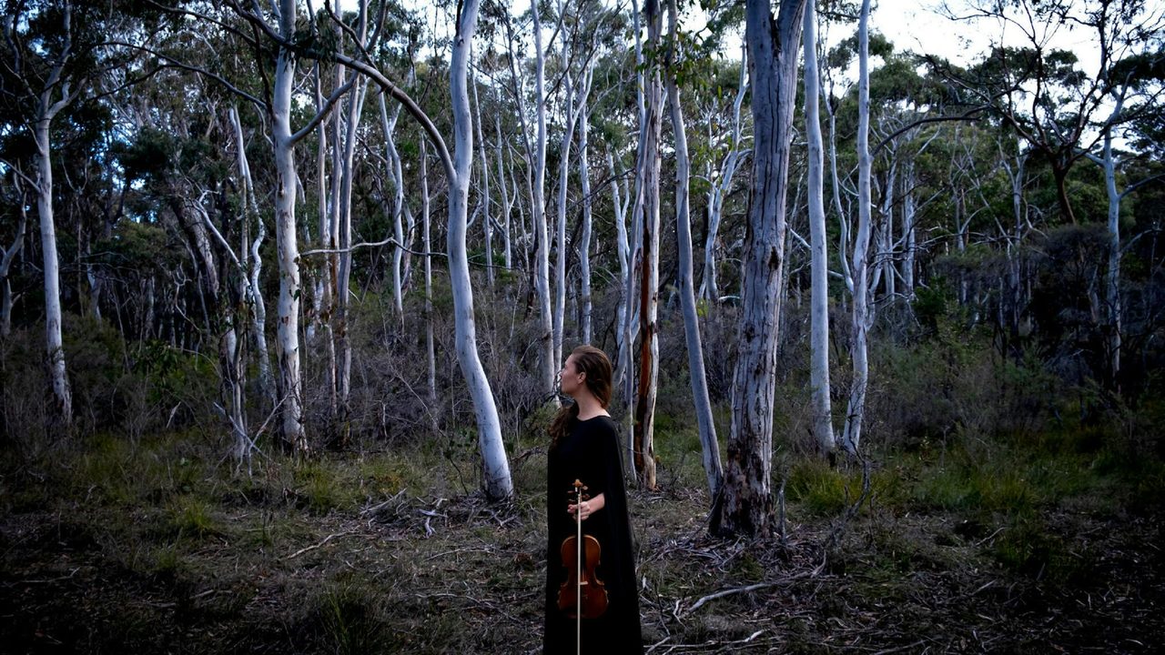 Megalong Valley scene