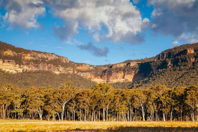 Lyrebird Festival - Megalong Valley