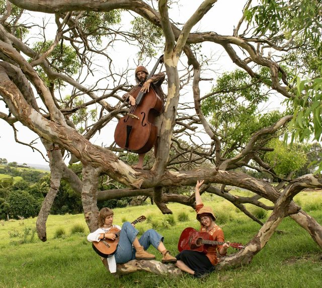 Milton Folk Jazz and Blues Festival