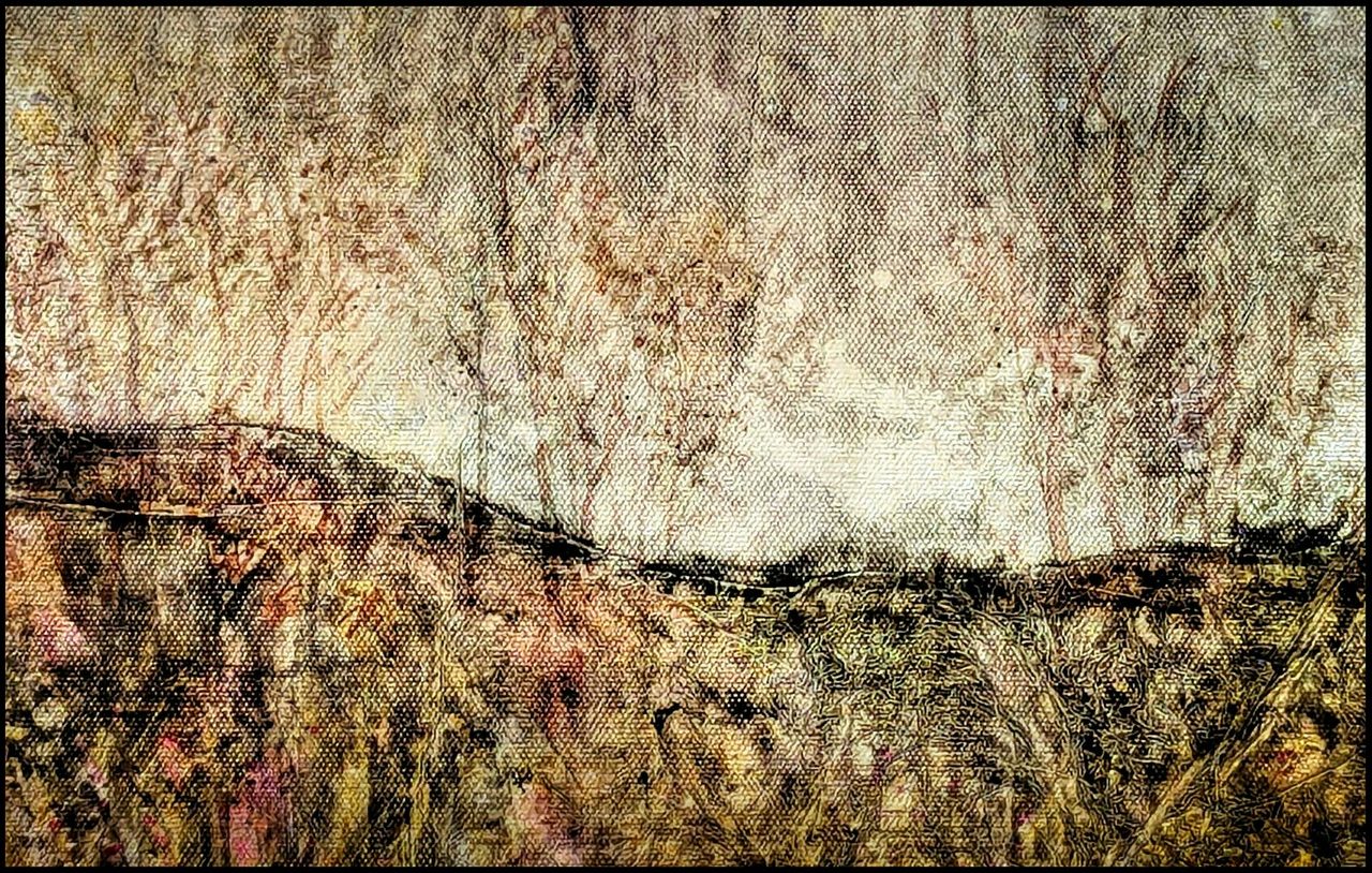 Fading Autumn