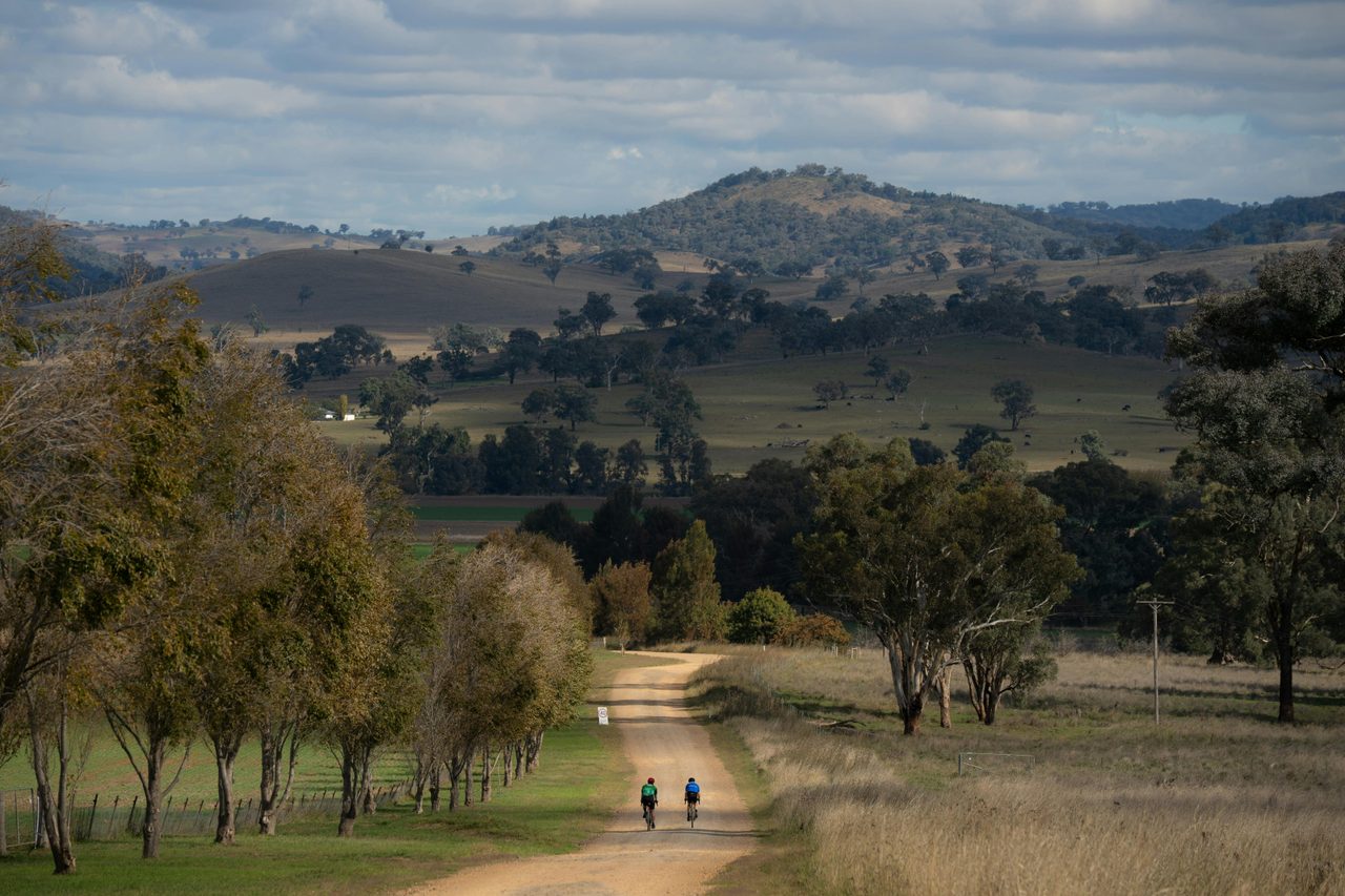 Dirty Mudgee