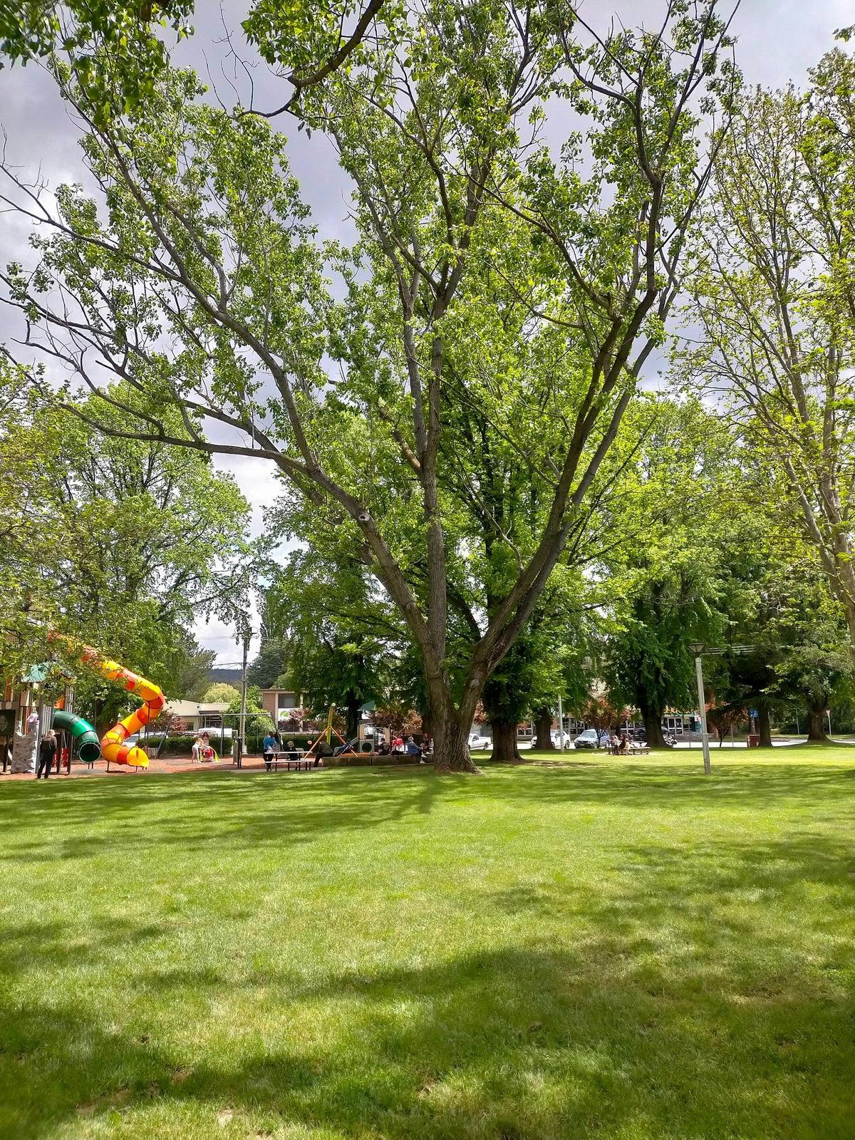 Cooma Centennial Park