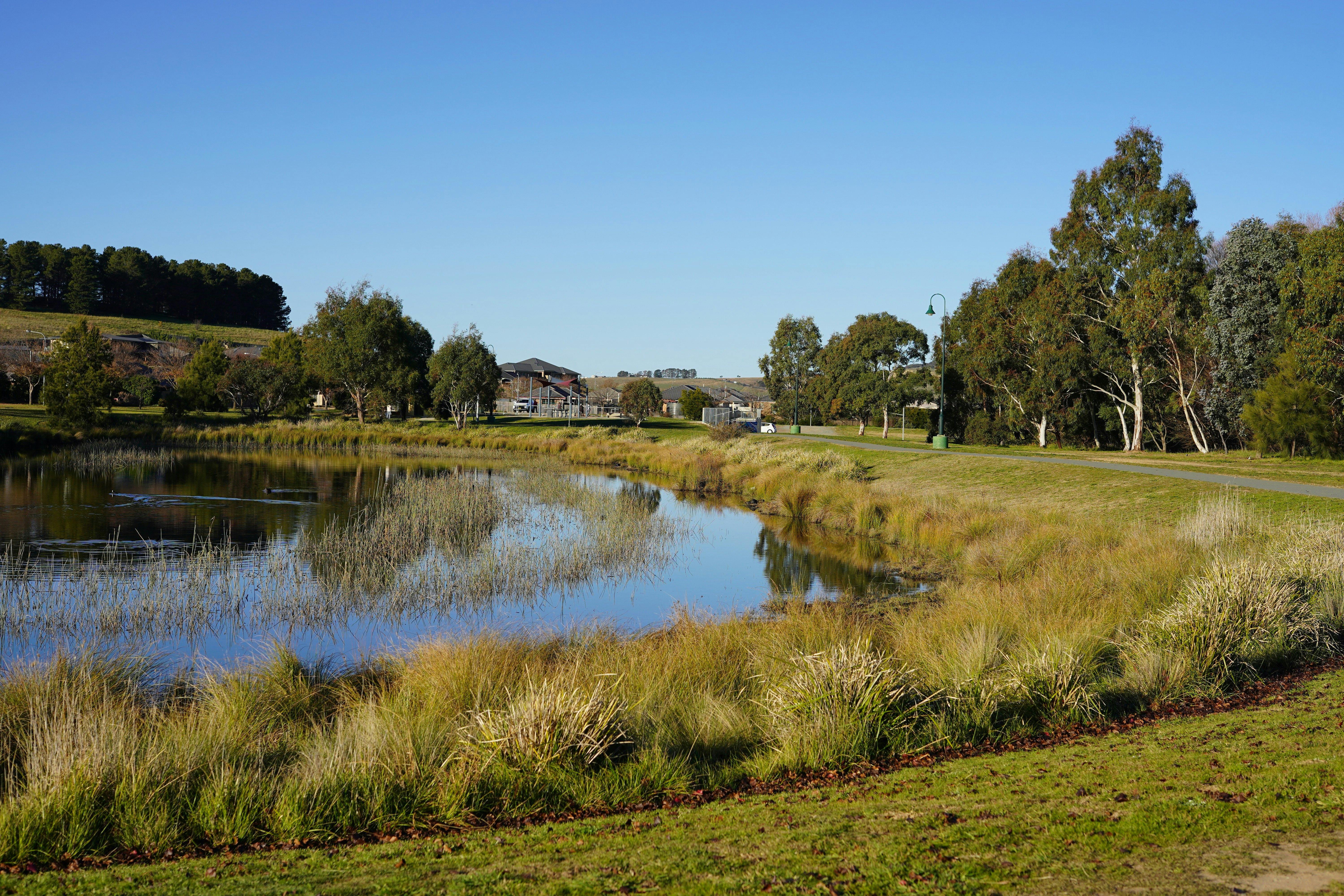 Bungendore Pond