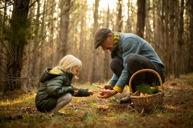 Mushroom Foraging Workshop - Southern Highlands
