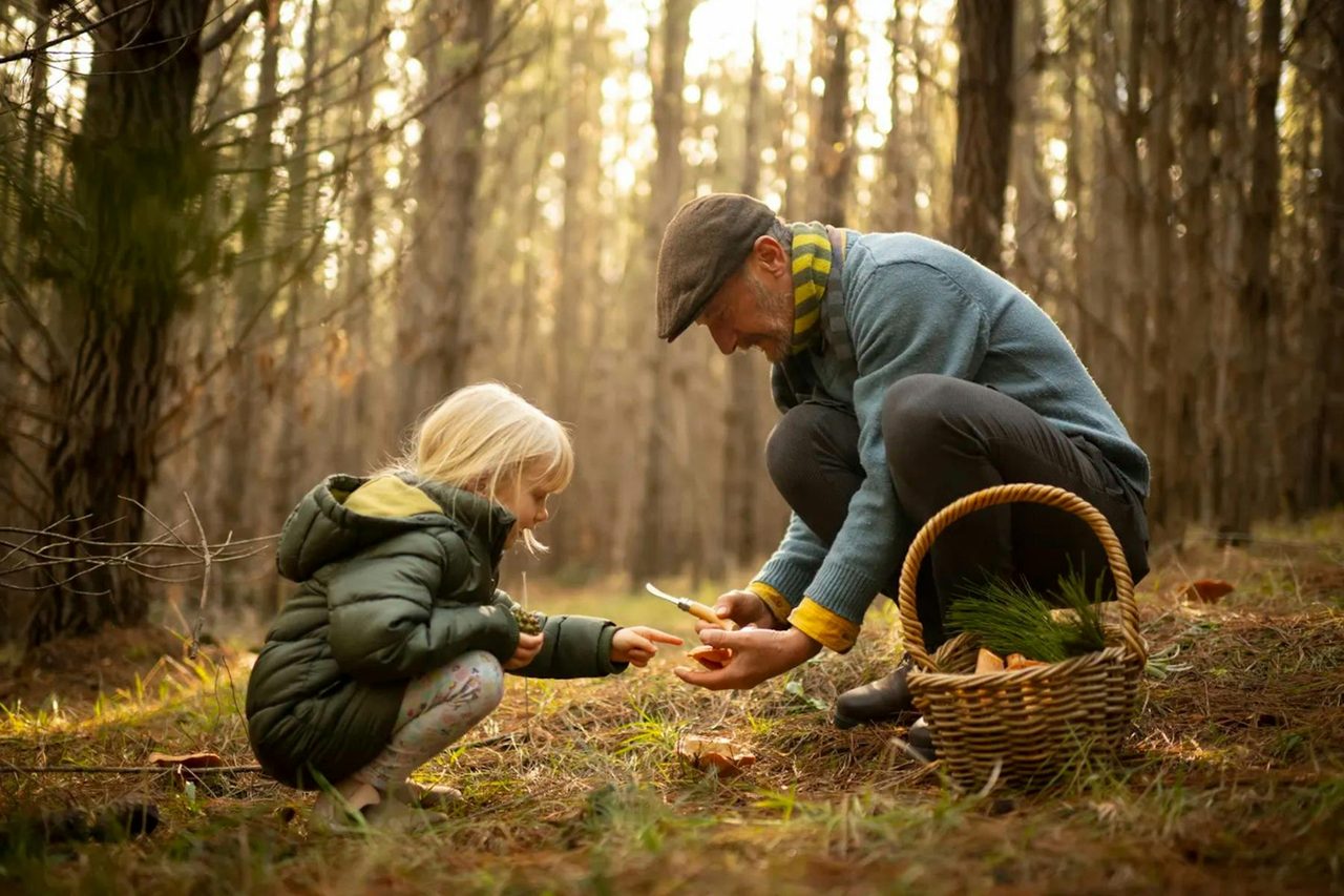 Mushroom foraging in NSW with young kids