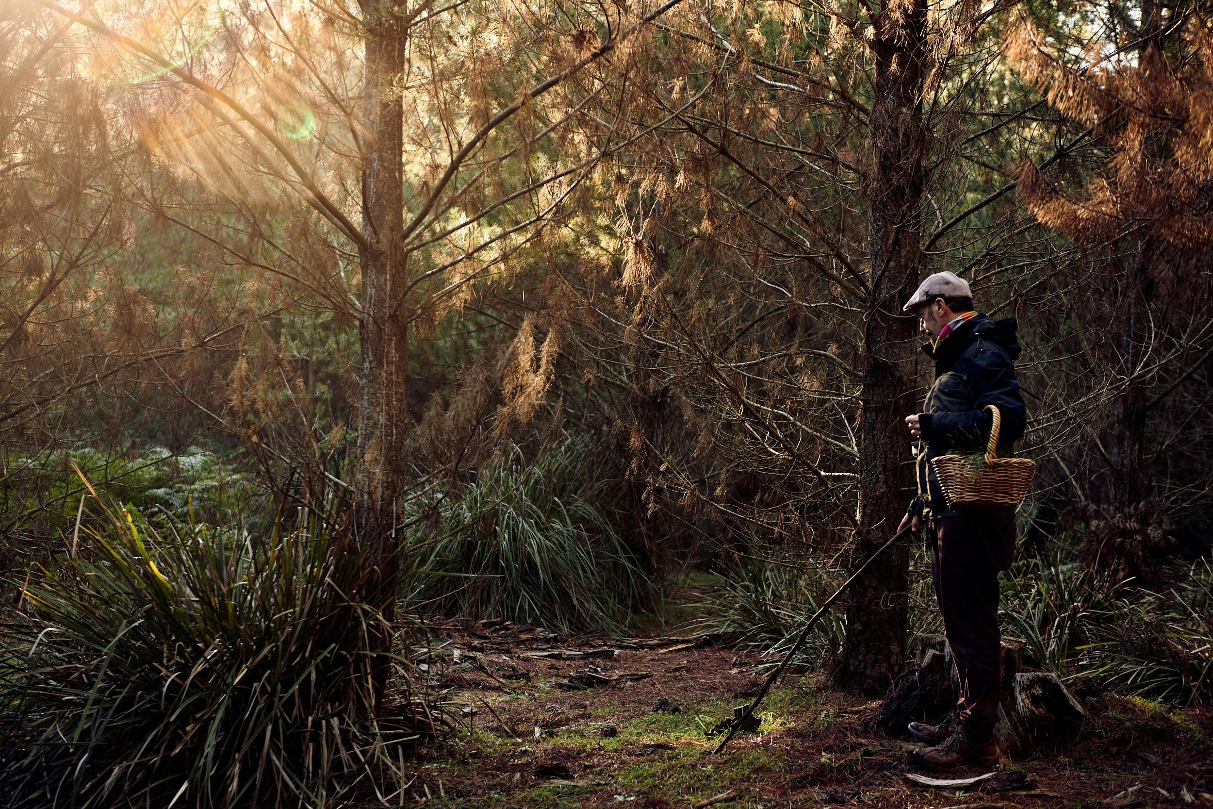 Mushroom foraging in NSW with young Diego Bonetto