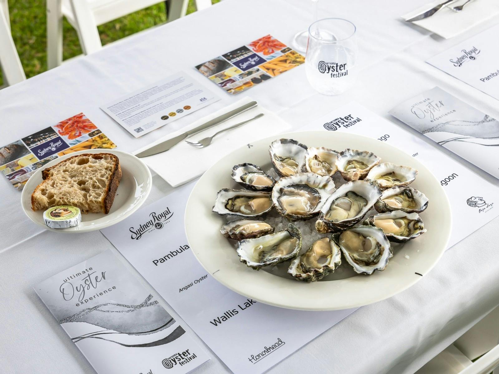 Ultimate Oyster Experiences