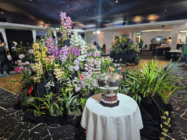 Orchids Central