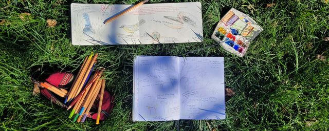 Nature Journaling at Mount Tomah