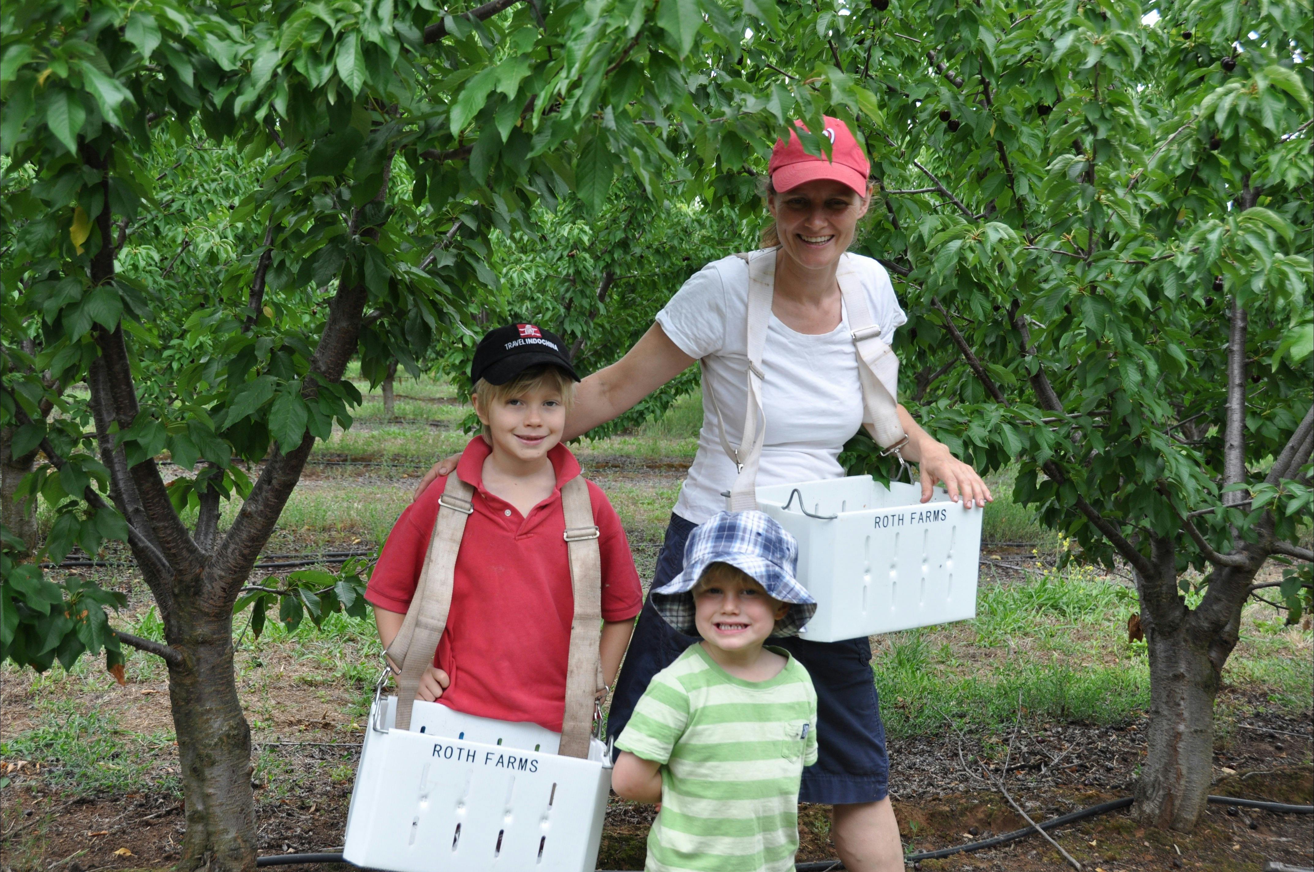 Great fun for the family!