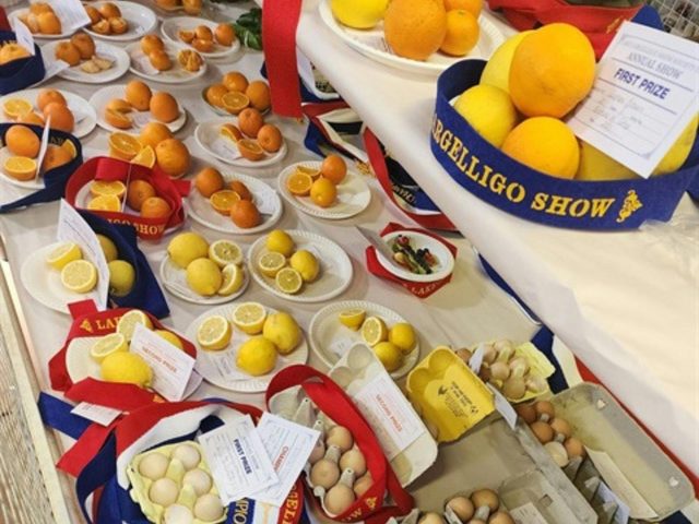 Lake Cargelligo Annual Show