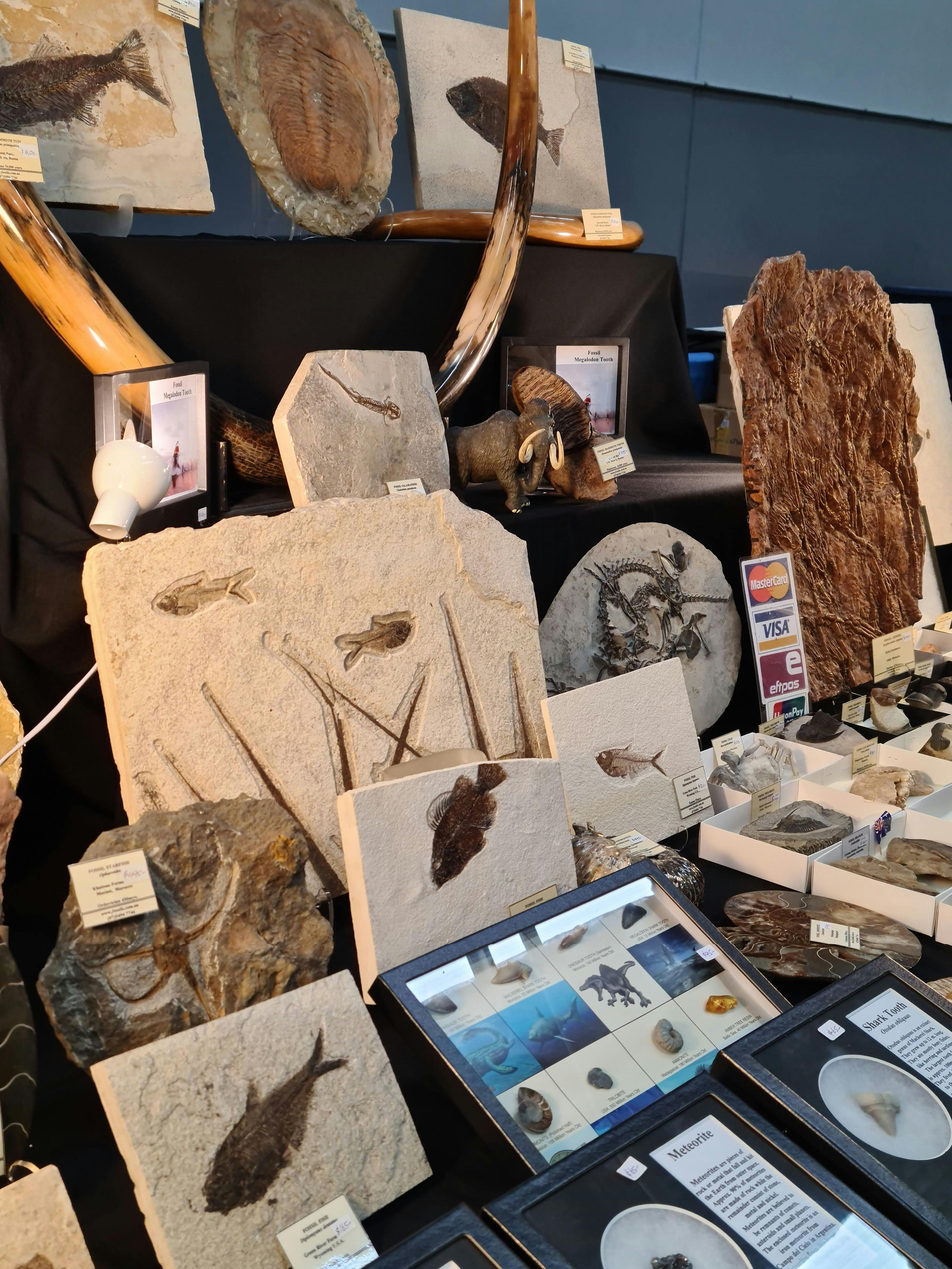 Gem And Mineral Expo