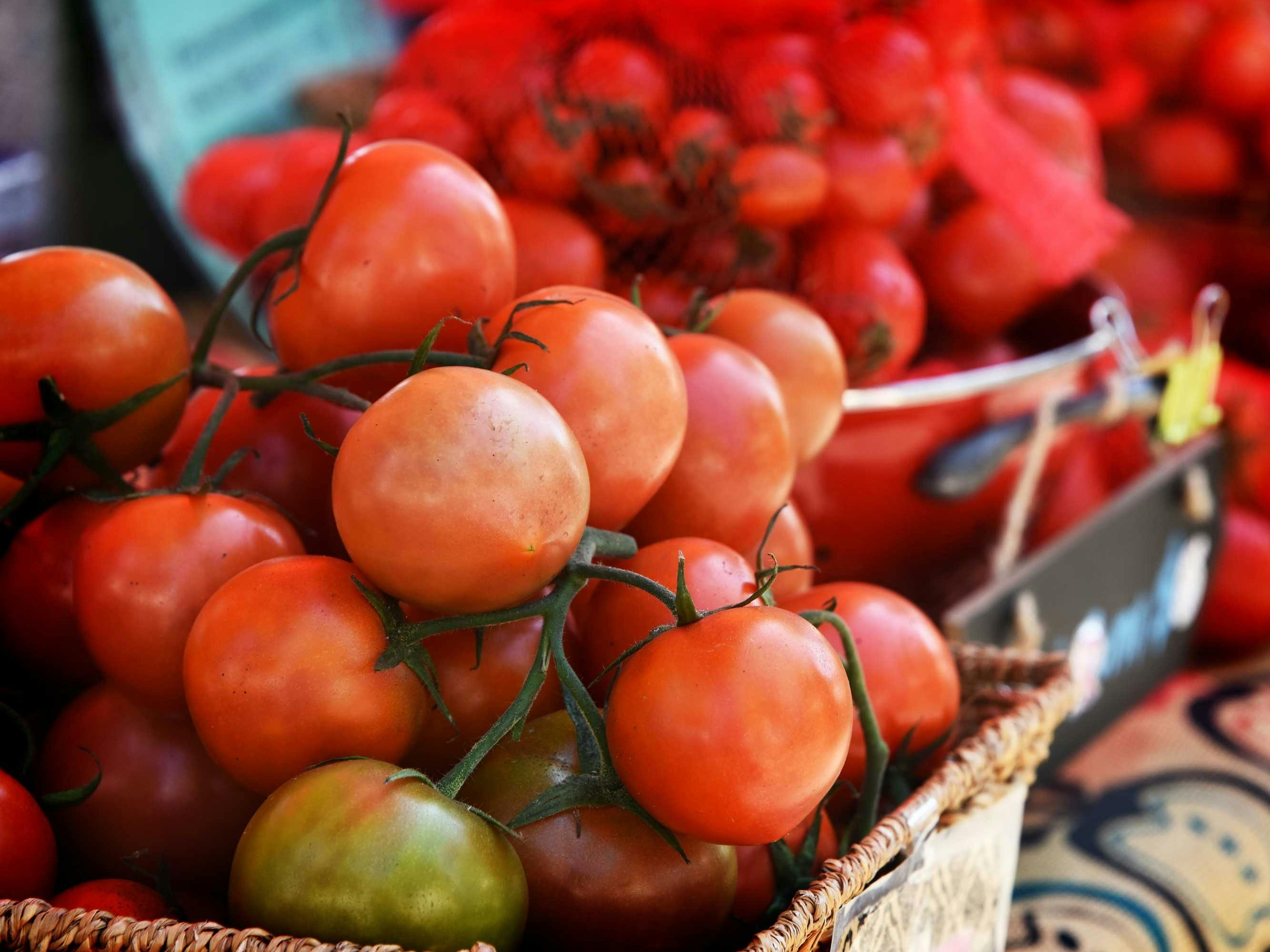 Farmers Market Tomatoes