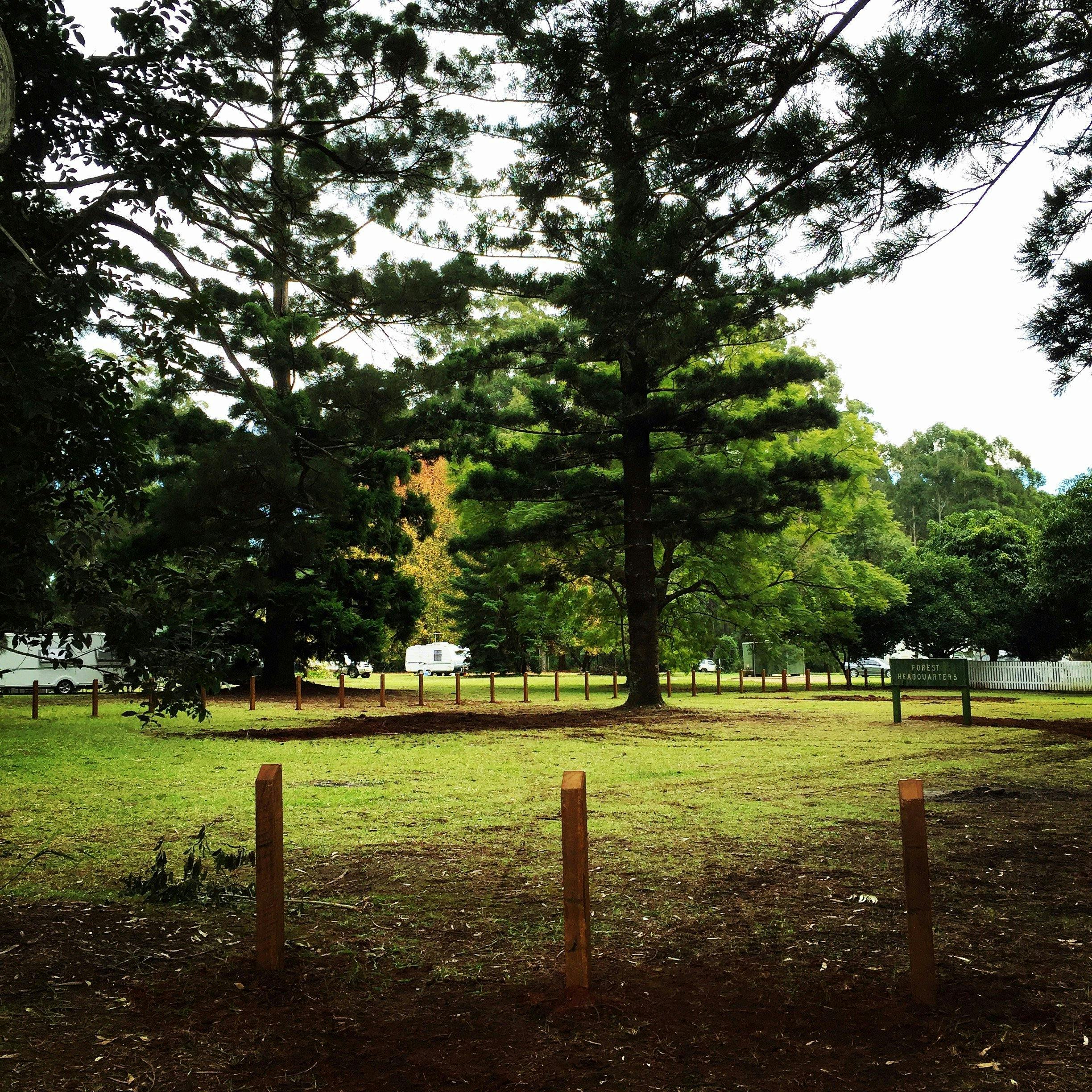 Coopernook Forest Rest Area