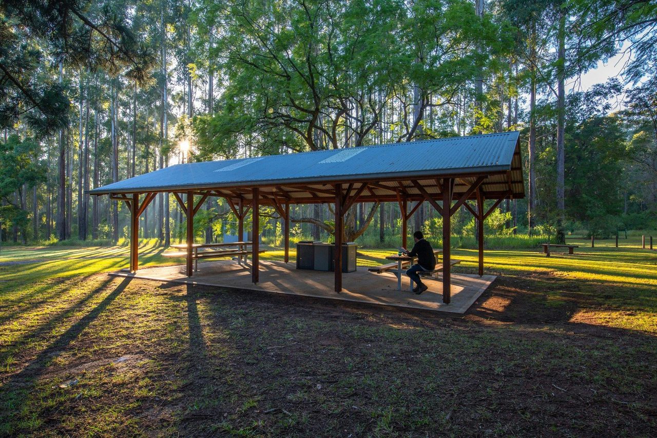 Morning sun at Coopernook shelter