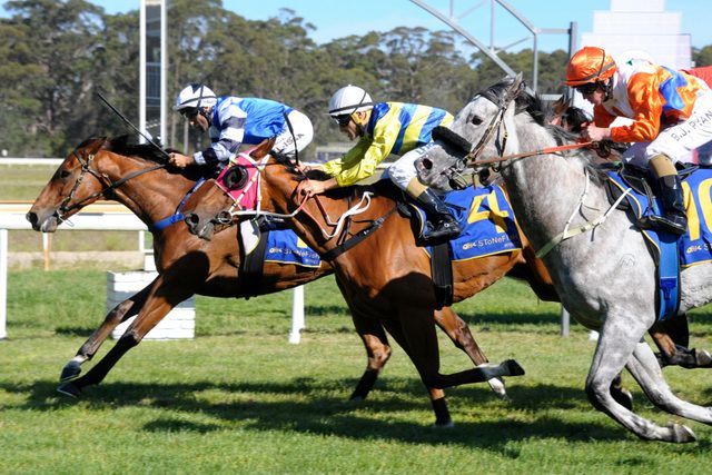 Moruya Jockey Club Thoroughbred Racing
