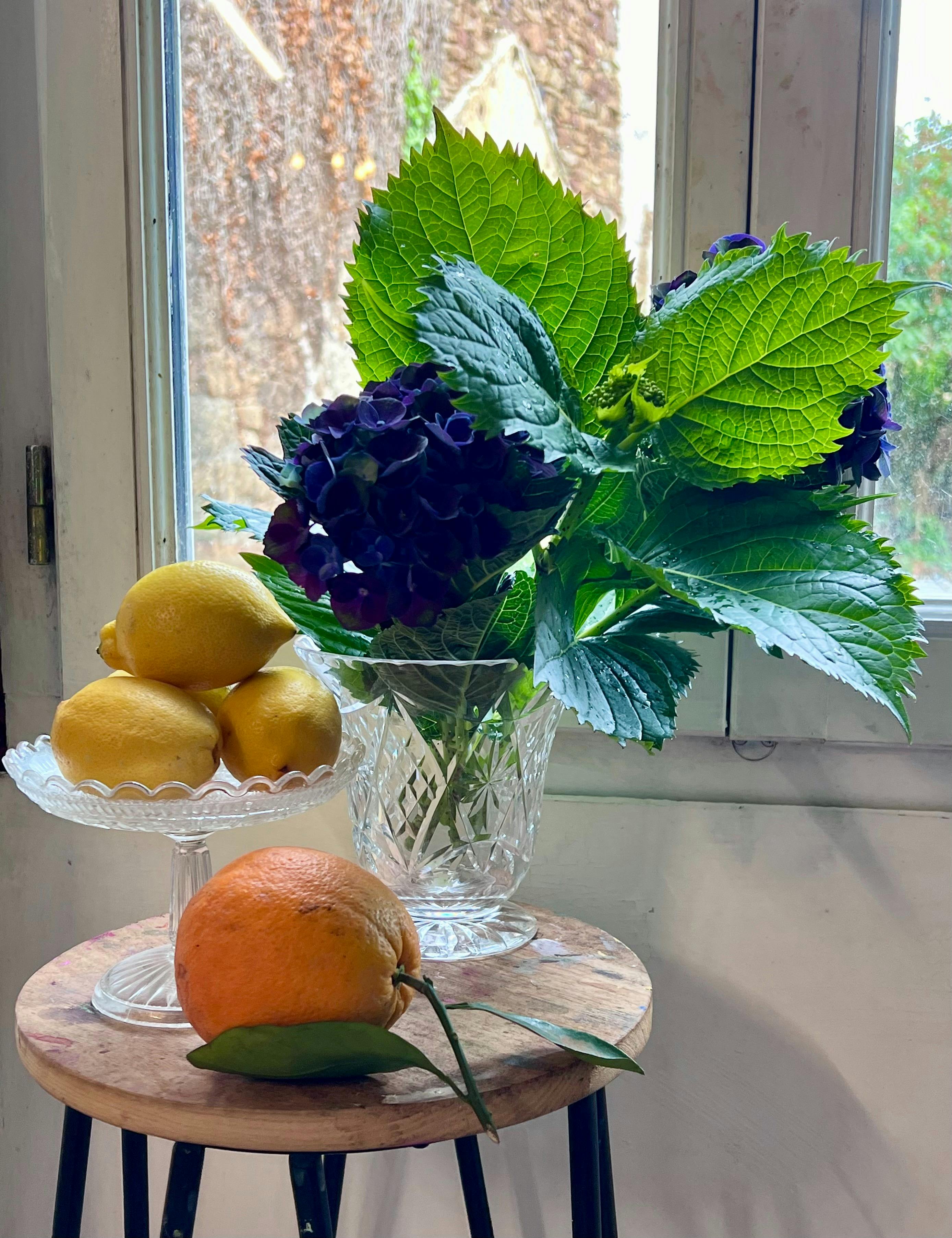 Still life