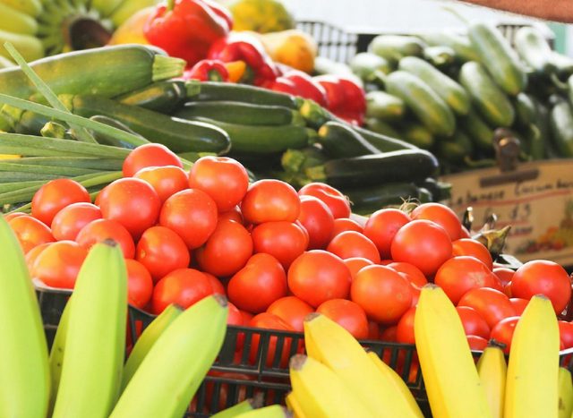 Lismore Organic Market