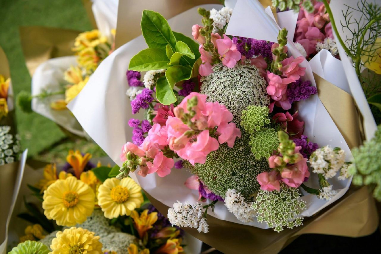 Beautiful Flowers for sale